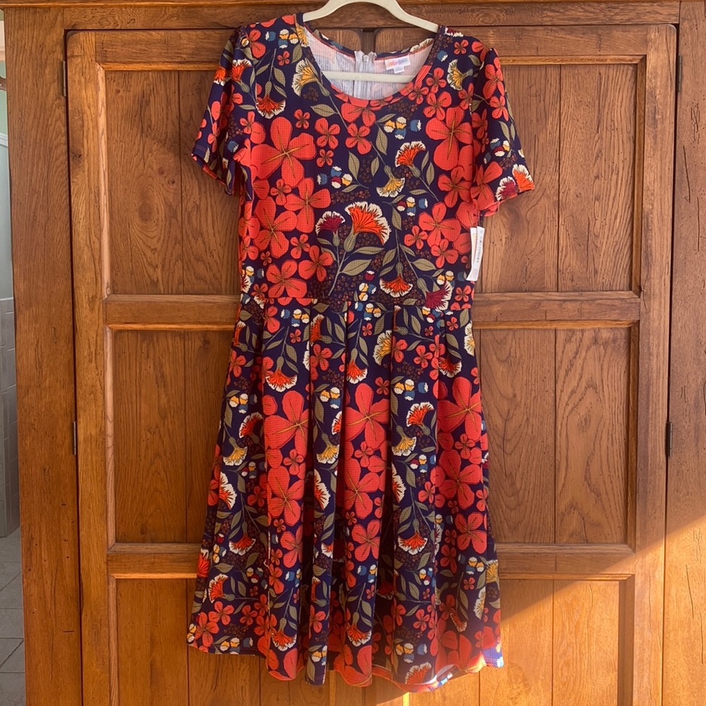 LuLaRoe NWT Amelia Dress